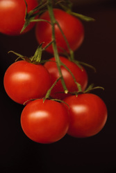 Cherry%20tomato%20on%20a%20stem